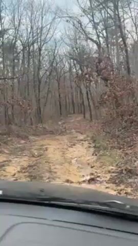 A vehicle is being driven along a bumpy dirt road through a sparse forest. Most of the trees have bare branches, though some retain their brown leaves. The sky is overcast. The camera is mounted inside the vehicle, likely on the dashboard.