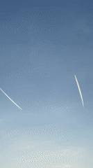 Contrails streak across a clear blue sky over Novigrad