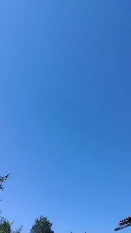 This is a vertical, full-frame video of a clear blue sky with a small tree and the edge of a building visible at the bottom. The video is unedited and appears to be filmed on a sunny day.