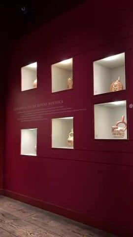The video showcases an exhibition hall, likely a museum, in Pueblo Libre, Peru. The walls are painted a dark pink or maroon color.

On the left side of the frame, there are six square wall niches, each illuminated and displaying an ancient pottery vessel or artifact, possibly from the Moche culture. Above these displays, the text "CEREMONIA DEL SACRIFICIO MOCHICA" (Mochica Sacrifice Ceremony) is visible.

As the camera pans to the right, a large white outline mural on the pink wall becomes visible. This mural depicts stylized figures and scenes, characteristic of ancient Peruvian art, specifically Moche. Text accompanying the mural reads "LOS DIOSES MAYORES" (The Major Gods) and "EL SACRIFICIO DE LOS VENCIDOS" (The Sacrifice of the Vanquished).

A woman, wearing glasses, a dark blue polo shirt, and dark pants, stands in front of this mural. She appears to be explaining or presenting the information, gesturing towards the artwork on the wall. She is speaking, suggesting she might be a guide or an expert sharing knowledge about the exhibition. The overall scene conveys an educational and cultural experience within a museum setting.