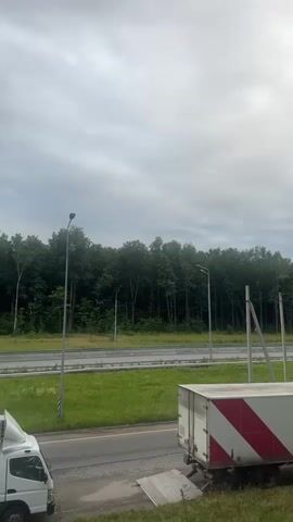 A white truck with red markings is parked on the side of a road. The truck has a logo that reads "АЛЫЕ ПАРУСА" which translates to "Scarlet Sails." A phone number and website address are also visible on the truck. The truck appears to be a cargo truck. In the background, there is a highway with cars driving on it and a dense forest. The sky is cloudy. The grass in the foreground is green. There are some small white flowers on the right side of the frame. The truck's ramp is down, suggesting it might be loading or unloading.