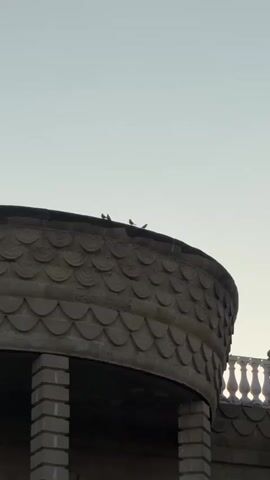 The media file shows a low-angle shot of the top of a curved, textured stone structure against a clear, pale sky. Several small birds are perched on the dark rim of the structure, their silhouettes visible against the bright sky. The stone has a decorative pattern of overlapping, rounded scales or shingles. Below the curved top, there are visible architectural elements, including square columns made of stacked rectangular stones and a white balustrade on the right side, suggesting a balcony or terrace. The lighting indicates it is either early morning or late afternoon, with the sun positioned behind the viewer or off to the side, casting a soft light. The scene is quiet and still, with the birds appearing to be resting or observing their surroundings. The location is identified as Mastaga, Azerbaijan. There is no visible text in the media file.