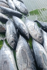 Fresh seafood displayed on banana leaves in Indonesian market