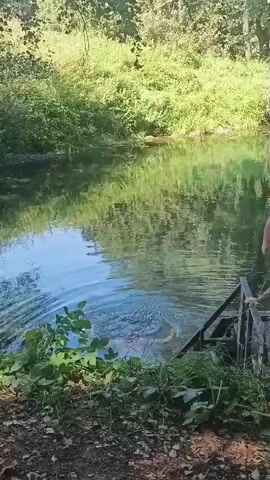 A person is in the water, appears to be swimming. The water is surrounded by trees and vegetation. The person is facing away from the camera.