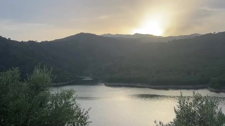 A wide shot captures a tranquil lake nestled between rolling, tree-covered hills at sunset. The sun, a bright orb partially obscured by the horizon, casts a warm, golden glow across the sky and reflects on the water's surface. In the foreground, the leaves of an olive tree, silhouetted against the lighter sky, add a natural frame to the serene landscape. The overall atmosphere is peaceful and serene.