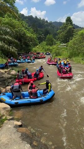 A wide shot captures a throng of inflatable rafts filled with people navigating a river that winds through a dense, green forest on a sunny day. The rafts, mostly red and blue, are occupied by groups of individuals wearing life jackets and helmets, some paddling through the water. A guide on the front of one raft in the foreground is pointing, apparently giving direction. The river is a somewhat murky brown with sections of white water indicating rapids. The forest is thick with a variety of trees and vegetation, and a blue sky with scattered clouds can be seen above. The scene suggests a group recreational activity, specifically white-water rafting.