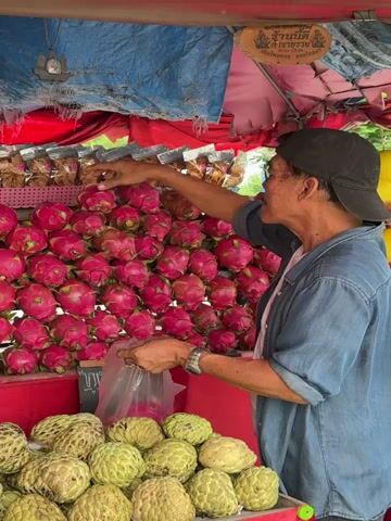 An older man wearing a blue denim shirt and a black baseball cap is standing at a fruit stand. He is selecting a pink dragon fruit from a large display of dragon fruits. In front of the dragon fruits, there is a display of custard apples. The man is holding a clear plastic bag in his left hand and appears to be putting the dragon fruit into it. The fruit stand is covered by a blue tarp and red fabric. There are also some bagged items on display behind the dragon fruits, and yellow fruits, possibly melons, on the right side of the stand. A sign with Thai writing is visible above the dragon fruits. The man's right arm is raised as he reaches for the fruit.
