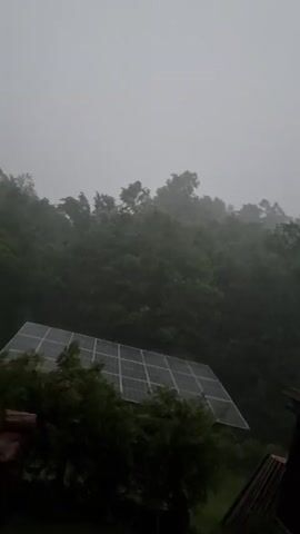The video captures a severe rainstorm in Tsvetkova Bara, Bulgaria, during daylight hours, characterized by an intensely grey, overcast sky and a misty ambiance. The landscape is dominated by dense, dark green trees and foliage, which are violently thrashed by strong winds and heavy rainfall throughout the clip.

In the lower left portion of the frame, a large array of solar panels is visible, partially integrated into the natural surroundings. On the right side, the corrugated metal roof of a building, possibly a shed or outbuilding, can be seen. As the perspective shifts slightly, another roof with traditional tiling becomes visible among the trees. The incessant heavy rain creates a blurry, streaky effect across the scene, and the audio is filled with the sounds of the powerful wind and continuous downpour.

No individuals or written text are present in the footage. The overall impression is one of nature's formidable power, with the natural environment and human structures braving the extreme weather conditions.