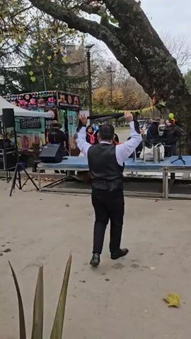 Here is a description of the video:

A couple is dancing the tango in front of a stage where a live band is playing. The man is wearing a black vest, white shirt and black pants, while the woman wears a short black dress and heels. They are dancing in a public space, possibly a park, as there are trees overhead and booths set up in the background. The dancers seem to be enjoying themselves, moving in a choreographed manner to the music. There is a small crowd of people watching on the stage.