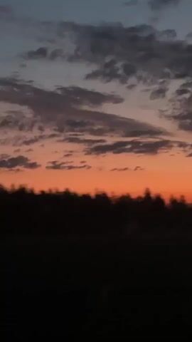 The video shows a sunset with an orange sky and dark silhouetted trees. The camera is shaky and the image is blurred.