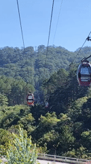 Da Lat Cable Cars Operating Through Forest on Clear Day