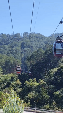 Da Lat Cable Cars Operating Through Forest on Clear Day