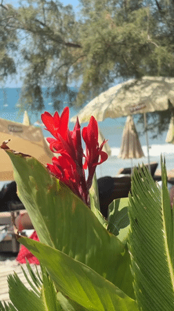 Bar, Montenegro