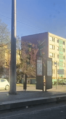 Daytime street scene recorded from moving tram in Bischheim