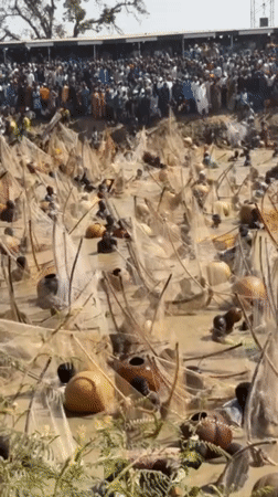Mass Traditional Fishing Festival Draws Crowds in Northern Nigeria
