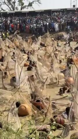 A large crowd of people line the shore of a muddy pond.  Inside the pond are dozens of individuals, their torsos visible above the water. Each person is using a net stretched over a wooden frame and attached to a large gourd, apparently fishing. The pond water is murky.