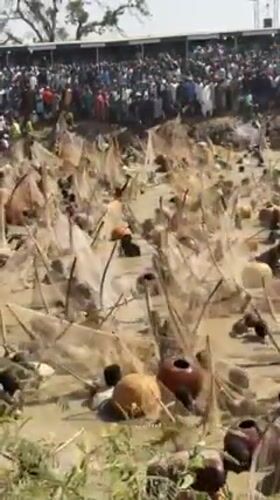 Mass Traditional Fishing Festival Draws Crowds in Northern Nigeria