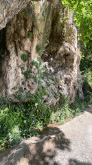 Morning nature walk documented in Sant Quirze Safaja, Spain