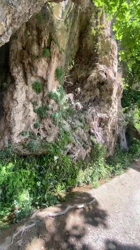 Morning nature walk documented in Sant Quirze Safaja, Spain