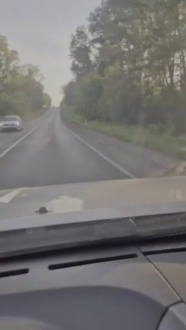 The video shows a view from inside a vehicle driving on a paved road. The road is lined with trees on both sides. The sky is overcast. In the distance, there are other vehicles on the road, including a white van and a dark-colored SUV. The camera is focused on the road ahead.