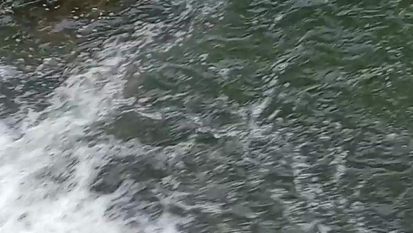 The video shows a close-up, overhead view of rushing water flowing over rocks. The water is turbulent and foamy, creating whitecaps. The rocks are dark and appear to be smooth, worn by the constant flow of water. There are also hints of green vegetation along the edges of the water. The perspective is fixed, and there is no discernible action or interaction taking place, beyond the natural movement of the water. The environment appears to be a natural stream or river.