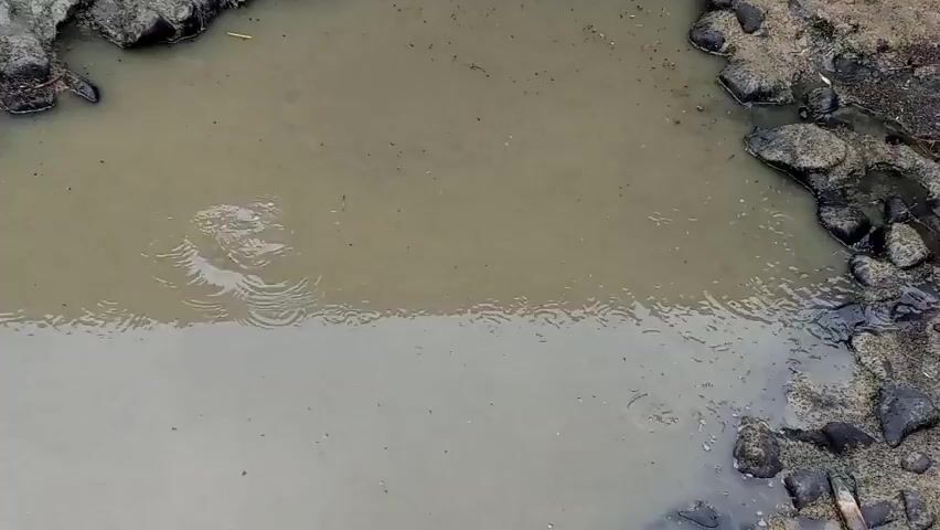 An aerial view of a muddy puddle with rocks and debris along the edges. The water is murky and shows subtle ripples in the center.