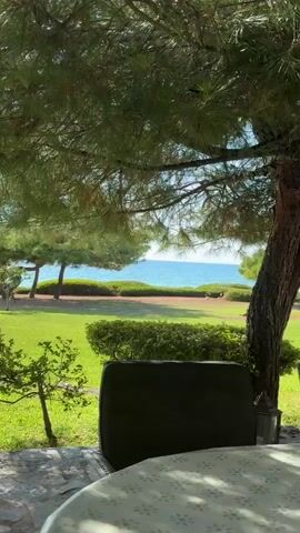 The video pans across a scenic outdoor view. The foreground shows a stone pathway and a patio table with a patterned tablecloth. A partially visible armchair is also present. The middle ground features a lush green lawn with a small, manicured tree and various shrubs. Beyond the lawn, a vibrant blue ocean stretches towards the horizon, with a distant shoreline visible. Pine trees with their characteristic needles frame the upper portion of the scene, casting dappled shadows. The overall environment appears to be a well-maintained garden area overlooking the sea, suggesting a resort or a private residence with coastal access. The lighting indicates daytime, possibly late morning or early afternoon, with bright sunlight. No people or animals are visible in the video.