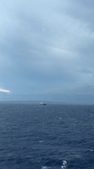 Cargo ship sails choppy waters on cloudy day