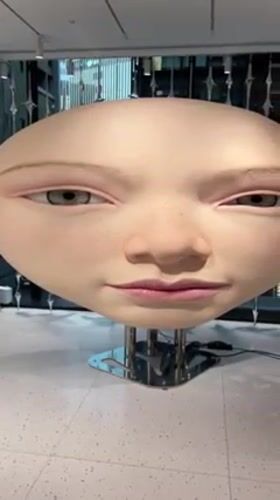 Realistic robotic faces displayed in Chuo City, Japan