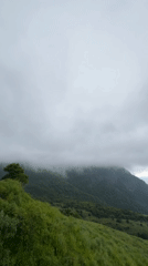 Panoramic Views of Lush Sri Lankan Mountains Captured