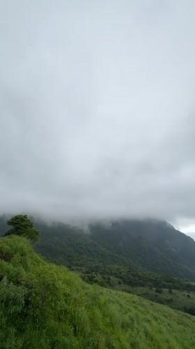 Panoramic Views of Lush Sri Lankan Mountains Captured