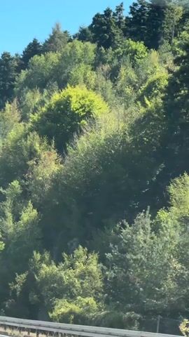 The video is a first-person perspective of a car driving on a highway. The highway curves to the left, with a rocky, tree-covered mountainside on the right. Several cars are visible on the road. The sky is clear and blue. The sun is shining, casting shadows. The vegetation is green and lush. The road is paved and appears to be in good condition. The car's license plate is partially visible, showing two letters and three numbers, followed by another two letters and one number, and a yellow sticker.