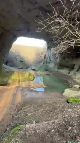 The video shows the inside of a large cave with a natural bridge. Water flows through the cave in a shallow stream or pool. The cave walls are light-colored rock, and there is some moss growing on the ground. The camera pans slowly from right to left, showing different views of the cave interior and the opening where the light streams in. There are no people or animals visible in the video. The overall impression is one of a natural, secluded location.