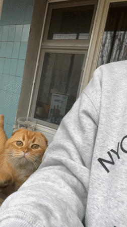 Spring blooms and pet moments captured in Voronezh