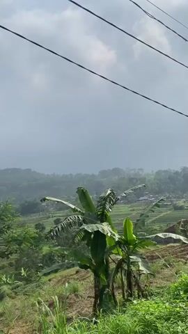 The video shows a view of rice paddies in a hilly landscape, likely taken from a moving vehicle. The sky is overcast with grey clouds. Power lines stretch across the top of the frame. In the foreground, there is some vegetation including a banana tree. As the video progresses, a sign for "Agung Resto & Cafe" appears on the right, and we see parts of a building with a red tiled roof. The scene conveys a rural, possibly mountainous area.