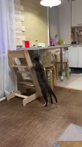 The video shows a cat standing on its hind legs and reaching up to a shelf or table, using a wooden climbing structure for support. The cat is a grey tabby with black markings. The wooden climbing structure is leaning against the shelf. The background includes a kitchen with a stone wall, a table with stools, and white cabinets. A voice is heard in the background, but it is unclear what they are saying. The floor is covered with a brown patterned linoleum.