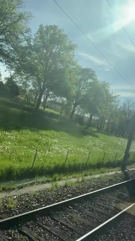 The video, shot from a moving train, displays a vibrant outdoor scene on a sunny day. In the foreground, train tracks with dark gravel sleepers move quickly past, indicating motion. To the left of the tracks, a strip of ground transitions into a bright green field dotted extensively with small white flowers, resembling a carpet of daisies. A simple wire fence separates the tracks from the field. Beyond the field, a line of trees with budding or light green foliage stands against a clear, bright blue sky with some soft white clouds. The sun is shining brightly, creating lens flares and bright spots in the upper right portion of the frame. Several utility poles with overhead lines are visible running parallel to the tracks, partially silhouetted against the bright sky. The overall impression is one of peaceful travel through a flourishing spring landscape. No people or text are visible.