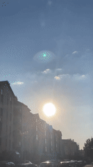 Sunny Urban Street Scene With Flower Observed Multiple Times