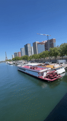 Tour boats moored along the Seine on a sunny Paris afternoon