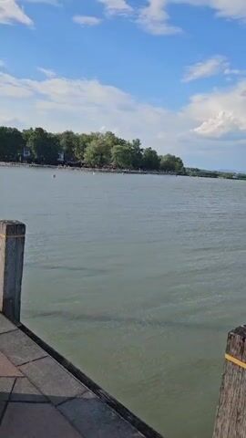 The video shows a large body of water with a cloudy blue sky above. In the foreground, there is a wooden post with yellow bands. The water appears calm with slight ripples. In the distance, there is a shoreline with trees and some buildings. Further out on the water, there are some small white shapes that might be boats or buoys. The overall scene suggests a peaceful day by the water.