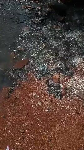 The video shows a small stream with reddish-brown water on one side and clear water on the other. The streambed appears to be composed of reddish-brown gravel and rocks. There is some green vegetation along the bank of the stream. There is a discarded yellow and red package on the brown gravel near the edge of the water.