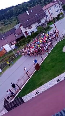 A group of runners are participating in a race. They are running down a road that is lined with houses and trees. There are spectators on the side of the road. The runners are wearing colorful shirts and shorts. Some of the runners have bib numbers on their shirts. The race appears to be well-attended.