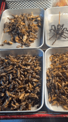 Bangkok street vendor displays fried insects in metal trays
