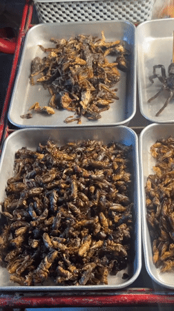 Bangkok street vendor displays fried insects in metal trays