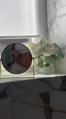 Bathroom mirror captures reflection in Chaykovsky home