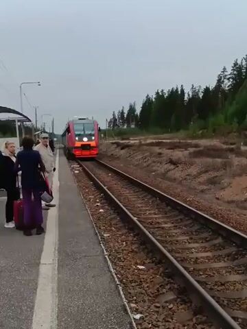 A high-speed train approaches a train station platform with several people standing on it. The train is red and grey, and the front lights are bright. The platform is concrete and runs parallel to the train track. The people on the platform are standing and waiting. One has a red suitcase, and another has a camera.  A forest is visible on the other side of the track. The sky is overcast.