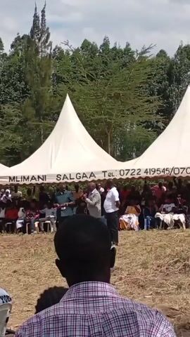 The video shows a gathering of people outdoors, seemingly for a formal event or a public address. A man in a suit is speaking at a podium or microphone, facing the audience seated under white tents. The tents have the words "MLIMANI SALGAA" and a telephone number printed on them. Two men are standing beside the speaker. There is a crowd of people seated on chairs, listening to the speaker. The foreground shows the back of heads of individuals in the audience. The ground is dry and grassy. There are trees in the background.