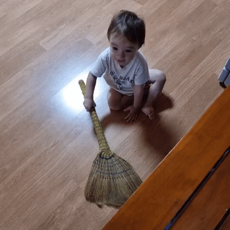 Toddler and Border Collie at a rural home in South Korea