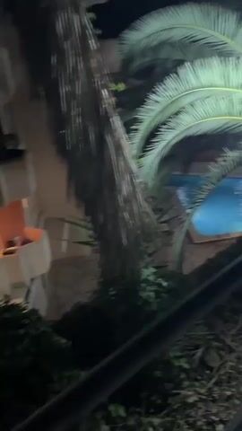 A nighttime video shows a downward-facing view of a concrete staircase with metal railings. Palm trees with illuminated fronds are visible on the left side, framing a lit swimming pool with blue water. The camera pans slightly, revealing the pool and the stairs descending into darkness. The scene is lit by artificial lights, casting shadows on the stairs.