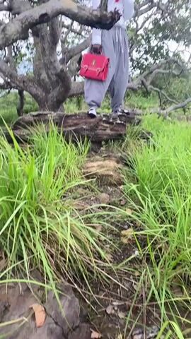 A person stands on a fallen log under a large tree. They are wearing a white long-sleeved shirt, grey pants, and a black hat. They are holding a red handbag in their left hand. The person is looking towards the camera and pointing. The background is a natural landscape with tall green grass and trees. The sky is overcast.